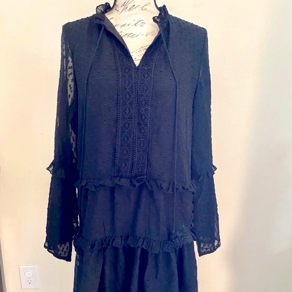 Shein Polka Dot Tassel Tie Neck Babydoll Dress